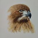 Il mio progetto del corso: Acquerelli naturalistici espressivi e con personalità Ein Projekt aus dem Bereich Traditionelle Illustration, Aquarellmalerei und Naturalistische Illustration von Barbara Cera - 06.01.2022