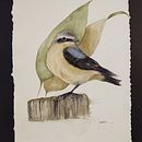 Meu projeto do curso: Aquarela naturalista com expressão e personalidade Ein Projekt aus dem Bereich Traditionelle Illustration, Aquarellmalerei und Naturalistische Illustration von Marlise Alves - 11.01.2022