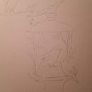 Bird Study. Un projet de Illustration traditionnelle de Beth Muse - 11.01.2022