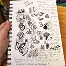 My project in Daily Sketching for Creative Inspiration course. Un progetto di Illustrazione tradizionale, Bozzetti, Creatività, Disegno e Sketchbook di Lindsey Castellon - 29.01.2022