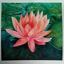 Aquarelle Ein Projekt aus dem Bereich Aquarellmalerei und Malerei von nadia_slama - 12.01.2022