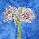 Mein Kursprojekt: Botanisches Zeichenheft: ein meditativer Ansatz. Een project van Traditionele illustratie,  Schetsen,  Tekening, Aquarelschilderen,  Botanische illustratie y Sketchbook van agneshammerstein - 13.01.2022