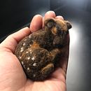 Mi Proyecto del curso: Pudú . % andreacorail tarafından hazırlanan İğne Keçeleme projesi - 01.12.2022