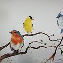 "Spring": My project in Artistic Watercolor Techniques for Illustrating Birds course. Een project van Traditionele illustratie, Aquarelschilderen, Realistische tekening y Naturalistische illustratie van Emma Marlow - 14.01.2022