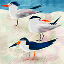 My project in Playful Animal Illustration with Photoshop course . % Tara Ross tarafından hazırlanan Geleneksel illüstras, on, Dijital İllüstras, Ve on projesi - 01.14.2022