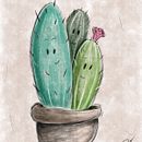 Cactus. Un proyecto de Ilustración tradicional y Diseño de patricia88k - 23.10.2020