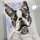 Some of my projects with watercolors .... Projekt z dziedziny  Malarstwo użytkownika kocian - 16.01.2022