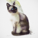 Siamese Cat - loose watercolor. Een project van Traditionele illustratie van Simon Lovell - 15.01.2022