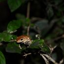Mi presentación. Un proyecto de Fotografía de cespedesvianca - 17.01.2022