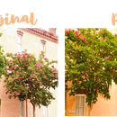 Mi Proyecto del curso: Creación de presets: edita con Lightroom desde tu smartphone. Photo Retouching, Mobile Photograph, Instagram, Instagram Photograph, Color Correction, and Color Theor project by Geraldine Bodden - 01.16.2022