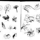 el jardin de cuacua. Un projet de Illustration traditionnelle de FLOR PINOCHI - 17.01.2022