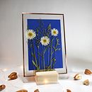 My project in Basic Botanical Pressing Techniques course. Artesanato, Artes plásticas, Colagem, DIY, e Design floral e vegetal projeto de bianca_barbieru - 18.01.2022