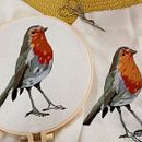 Mi Proyecto del curso: Pintar con hilo: técnicas de ilustración textil. Embroider project by JM S - 01.18.2022