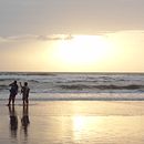  Feeling of Being a Failure-  A Tale from a Friend’s Diary!! . Scrierea ficțiunii de Awantika Gupta - 01.18.2022