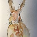 My project in Illustrating Nature: A Creative Exploration course. Traditional illustration, Painting, Drawing, Ink Illustration, Naturalistic Illustration, and Watercolor Painting project by Martha - 01.18.2022