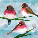 Impatient Redpolls Ein Projekt aus dem Bereich Traditionelle Illustration und Digitale Illustration von Liz Saunders - 18.01.2022