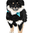 Dogs. Traditional illustration project by Marcela Frisoni - 01.20.2022