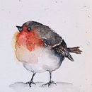 Il mio progetto del corso: Acquerello artistico per illustrazione di animali: gli uccelli. Un progetto di Illustrazione tradizionale, Pittura ad acquerello, Disegno realistico e Illustrazione naturalistica di lucia_menato - 21.01.2022