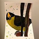 Gorrión montés cabeciblanco Ein Projekt aus dem Bereich Aquarellmalerei von Sandra Cabrera Patiño - 23.01.2022