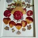Cuadros con flores secas. Design project by c_caratti - 01.24.2022