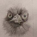 Mijn project van de cursus: Vogels illustreren met artistieke aquarel. Traditional illustration, Watercolor Painting, Realistic Drawing, and Naturalistic Illustration project by Henriette Kamp - 01.24.2022