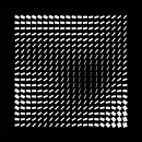Mi Proyecto del curso: Codificación creativa: crea piezas visuales con JavaScript. Motion Graphics, Multimedia, and JavaScript project by Pelayo Rodríguez - 01.25.2022