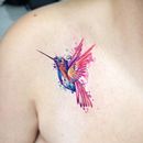 Aves . Un proyecto de Ilustración tradicional de Leidy Vargas - 26.01.2022