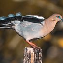 Fotografía de naturaleza. Een project van Fotografie van Jason Elizondo Ugalde - 23.01.2022