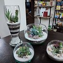 Mi Proyecto del curso: Arte vegetal: crea tu propio terrario abierto Ein Projekt aus dem Bereich Innendesign, L, schaftsbau, Dekoration von Innenräumen, DIY und Blumen- und Pflanzendesign von Andres Santafe - 26.01.2022