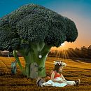 Mon projet du cours : Les secrets du photomontage et de la retouche créative. Un proyecto de Fotografía, Post-producción fotográfica		, VFX, Retoque fotográfico, Fotografía artística, Composición fotográfica y Fotomontaje de Yvelise BALLU - 26.01.2022