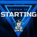 Mi Proyecto del curso: Diseño de un paquete para streaming en Twitch: sube el nivel de tu canal. Un proyecto de UX / UI, Vídeo, Redes Sociales, Marketing de contenidos y YouTube Marketing de Daniel Mendoza - 21.01.2022