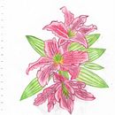Flores. Un projet de Illustration traditionnelle de Adriana Botero Velez - 26.01.2022