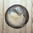 Swallow. Traditional illustration project by Michalina - 11.25.2020
