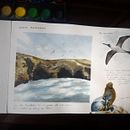 Cuaderno de viaje en acuarela, Islas Ballestas en Perú por Alessandra Pinto. Un projet de Aquarelle, Peinture, Beaux Arts, Créativité, Dessin, Réseaux sociaux et Illustration traditionnelle de Alessandra Pinto Apaza - 21.01.2022
