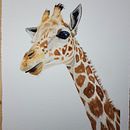 My project in Expressive Animal Portraits in Watercolor course - Giraffe . Ilustrație tradițională, Pictură în acuarelă, Desen realist & Ilustrație naturalistă de claudia_ms_1 - 01.26.2022