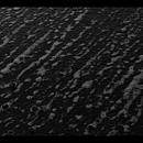No Words. Un progetto di Musica, Video editing e Video di tsarnath - 27.12.2021