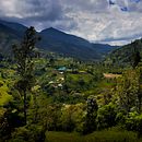 Mi Proyecto del curso: Fotografía de paisaje y naturaleza. Projekt z dziedziny Fotografia,  Fotografia plenerowa, Fotografia na Instagram, Fotografia dokumentalna,  Kompoz i cja w fotografii użytkownika VALENTINA MUÑOZ GARCES - 27.01.2022