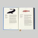Fish: Recipes from the Sea Ein Projekt aus dem Bereich Design, Grafikdesign, T und pografie von Fraser Muggeridge - 13.05.2012