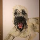 Annabelle and gator . Un progetto di Artigianato di Katie Santana - 28.01.2022