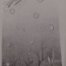 Mi Proyecto del curso: Técnicas de ilustración artística con grafito Ein Projekt aus dem Bereich Traditionelle Illustration, Bildende Künste, Bleistiftzeichnung, Zeichnung, Artistische Zeichnung und Editorial Illustration von Alicia Pulido Pérez - 28.01.2022