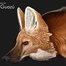 Aguará Guazú. Un progetto di Gestione progetti di design, Design dell’informazione, Postproduzione fotografica, Scultura, Infografica, Disegno a matita e Disegno di David Rojas Marquez - 20.01.2022