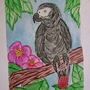 Pappagallo cenerino. Il mio progetto del corso : "Dallo sketch sul quaderno all'illustrazione finale" . Ilustrație tradițională, Schițe, Creativitate, Desen și Caiet de schițe de Maria Elisa Frau - 01.28.2022