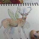Mein Kursprojekt: Tierillustrationen: Bringe das Tierreich in dein Skizzenbuch. Un projet de Illustration traditionnelle, Collage, Carnet de croquis et Illustration naturaliste de Nicole Bertschus - 29.01.2022