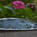 Whale art. Projekt z dziedziny Ceramika i Malowanie akwarelą użytkownika Marta Głowacka - 29.01.2022