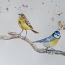 Mon projet du cours : Techniques artistiques d'aquarelle pour illustrer les oiseaux . % Isabelle ROMBI tarafından hazırlanan Geleneksel illüstras, on, Sulubo, a Resim, Gerçekçi Çizim, Doğalcı İllüstras, Ve on projesi - 01.30.2022