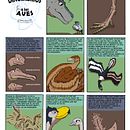 Mi Proyecto del curso: El cómic es otra historia - En resumen: de dinosaurios a aves, ¿cómo ocurrió?. Un proyecto de Bellas Artes, Cómic, Dibujo, Stor, board y Narrativa de Tchela Mbumba Rodríguez - 31.12.2022