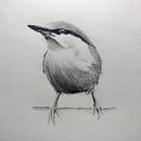 Mi Proyecto del curso: Acuarela artística para ilustración de aves. Un progetto di Illustrazione tradizionale, Pittura ad acquerello, Disegno realistico e Illustrazione naturalistica di Mónica Ochoa de Muñoz - 01.02.2022