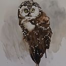 Mein Kursprojekt: Naturalistische Aquarelle mit Ausdruck und Charakter. Un progetto di Illustrazione tradizionale, Pittura ad acquerello e Illustrazione naturalistica di Carmen Bezençon - 17.07.2022