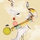 Absurdos equilibrios. Un proyecto de Collage e Ilustración tradicional de Andres Marti - 03.02.2022