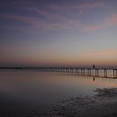 Il mio progetto del corso: Fotografia per principianti: scopri la tua macchina fotografica digitale . % Elisa Baggini tarafından hazırlanan Fotoğrafçılık, Dijital Fotoğrafçılık, Fotoğrafik Kompozis, Ve on projesi - 02.04.2022